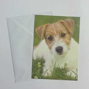 Dogs Set of 8 Notecards (2 Styles)