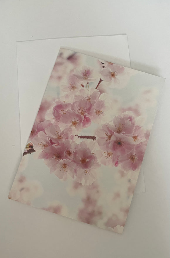Cherry Blossom Gift Card...بطاقة هدايا زهر الكرز